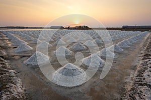 Salt farming in the coastal