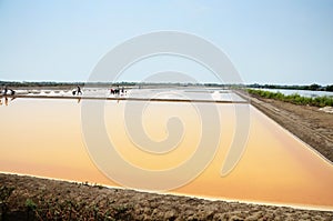 Salt farming or Salt evaporation pond