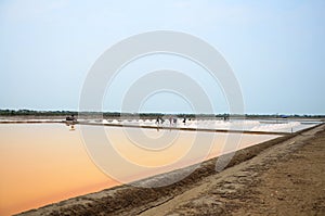 Salt farming or Salt evaporation pond