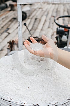 Salt farming in Thailand Sea salt is salt that is caused by the evaporation of sea water.Female working keep sea salt in a basket.