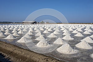 Salt field