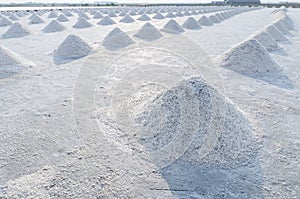 Salt field has pile of sea salt.