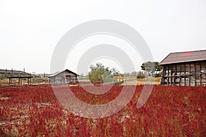 Salt storage in korea
