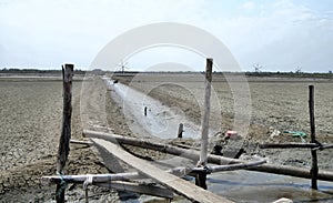 Salt field in sunny day