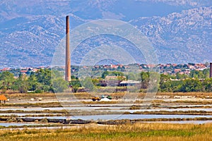 Salt fields of Nin view