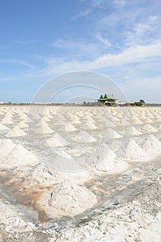 Salt fields in sunny day.