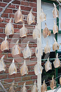 Salt fish hung up for drying on the clotheslines. Tradition food concept