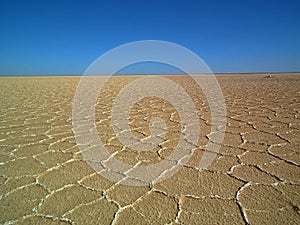 Salt flat polygons in desert