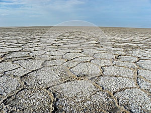 Salt flat polygons in desert , Iran