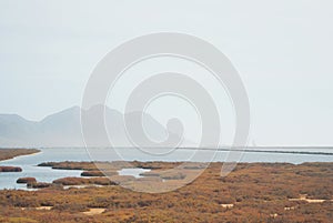 Salt flats lagoon pond lake with flamingos near the mountain at