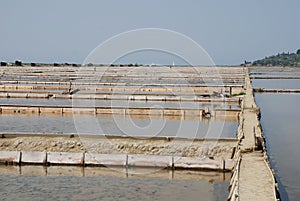 Salt Flats at Seca, Slovenia