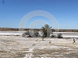 Salt Flats In Sonora, Mexico