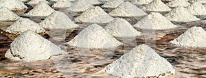 The salt flats of Trapani, Sicily, Italy