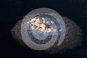 Salt formation photo