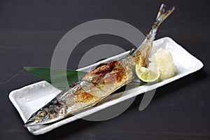 Salt grilled fresh saury with grated radish