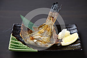 Salt-grilled Righteye Flounder