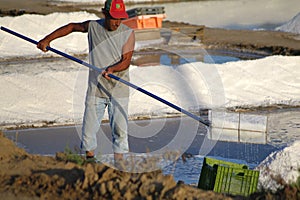 Salt harvesting