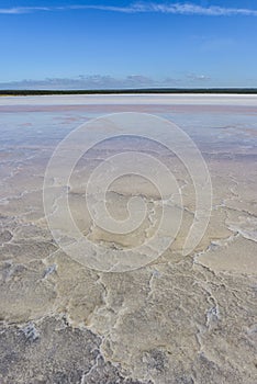 Salt lagoon,Dunaliella