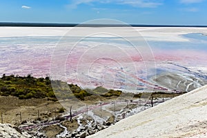 Salt lagoon,Dunaliella salina coloration,