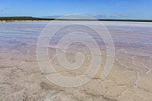 Salt lagoon,Dunaliella photo