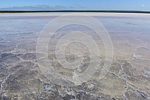 Salt lagoon,Dunaliella photo