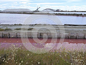 Salt lagoons at a French salt works