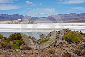 Salt Lake on the Altiplano photo