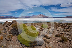 Salt Lake on the Altiplano photo