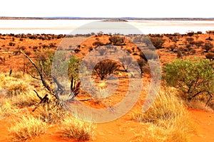 Panorama Salt Lake Amadeus, desert between Alice Springs and Uluru Ayers Rock, Australia