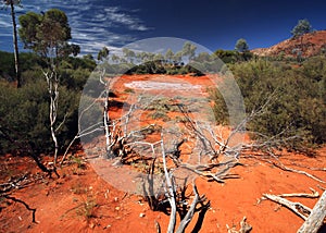 Salt Lake in Australian Desert