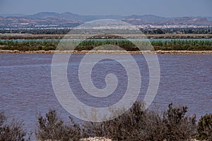 A salt lake with briny pink waters, foregrounded by shrubs, with distant mountains and clear skies. photo