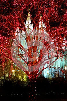 Salt Lake City Mormon Temple Christmas Lights