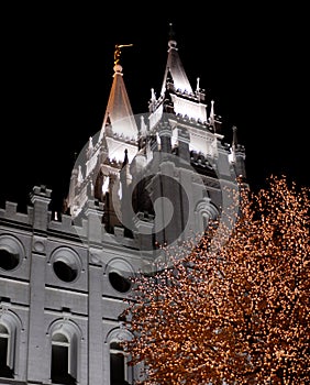 Salt Lake City Mormon Temple Christmas Lights