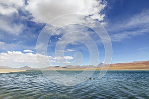 Salt lake with ducks, volcanic landscape, Atacama, Chile border with Bolivia