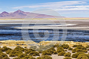 A salt lake, flamingos, mountains and colours in Los Flamencos National Reserve