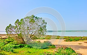 Salt Lake in Larnaka