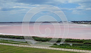 Salt lake near Aigues-Mortes.