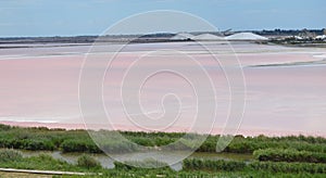 Salt lake near Aigues-Mortes.