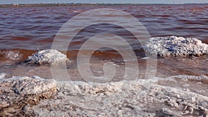 Salt Lake. Self-precipitating salt. Red water in the Kuyalnik estuary, hypersaline water from Artemia and Dunaliella. Black Sea,