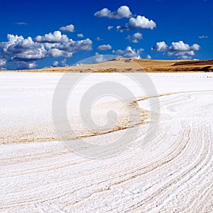 Salt lake sunny landscape.