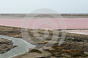 Salt lakes Mas des Crottes, Camargue, France