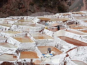 Salt-making process