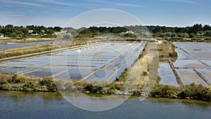 Salt marshes of Noirmoutier in France photo