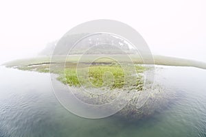 Salt Marsh at High Tide