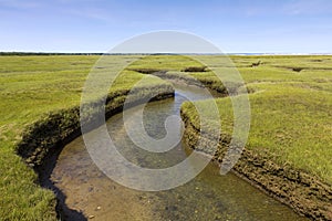 Salt Marsh Land