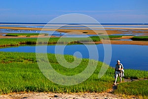 Through the Salt Marsh