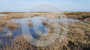 Salt marsh near Brindisi, Italy