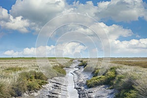 Salt Marsh in North Frisia North Sea Wattenmeer National Park Germany photo