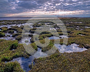 Salt Marsh Pools