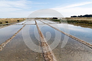 Salt marsh production in Island on Ile de  Noirmoutier France Vendee